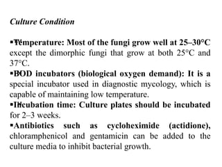 Culture Condition
™
Temperature: Most of the fungi grow well at 25–30°C
except the dimorphic fungi that grow at both 25°C and
37°C.
™
BOD incubators (biological oxygen demand): It is a
special incubator used in diagnostic mycology, which is
capable of maintaining low temperature.
™
Incubation time: Culture plates should be incubated
for 2–3 weeks.
Antibiotics such as cycloheximide (actidione),
chloramphenicol and gentamicin can be added to the
culture media to inhibit bacterial growth.
 