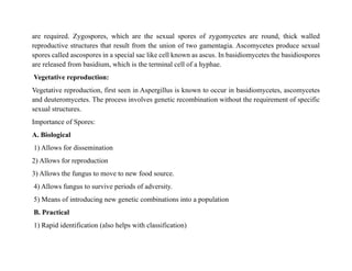 are required. Zygospores, which are the sexual spores of zygomycetes are round, thick walled
reproductive structures that result from the union of two gamentagia. Ascomycetes produce sexual
spores called ascospores in a special sac like cell known as ascus. In basidiomycetes the basidiospores
are released from basidium, which is the terminal cell of a hyphae.
Vegetative reproduction:
Vegetative reproduction, first seen in Aspergillus is known to occur in basidiomycetes, ascomycetes
and deuteromycetes. The process involves genetic recombination without the requirement of specific
sexual structures.
Importance of Spores:
A. Biological
1) Allows for dissemination
2) Allows for reproduction
3) Allows the fungus to move to new food source.
4) Allows fungus to survive periods of adversity.
5) Means of introducing new genetic combinations into a population
B. Practical
1) Rapid identification (also helps with classification)
 