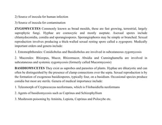2) Source of inocula for human infection
3) Source of inocula for contamination
ZYGOMYCETES Commonly known as bread moulds, these are fast growing, terrestrial, largely
saprophytic fungi. Hyphae are coenocytic and mostly aseptate. Asexual spores include
chlamydoconidia, conidia and sporangiospores. Sporangiophores may be simple or branched. Sexual
reproduction involves producing a thick-walled sexual resting spore called a zygospore. Medically
important orders and genera include:
1. Entomophthorales: Conidiobolus and Basidiobolus are involved in subcutaneous zygomycosis
2. Mucorales: Rhizopus, Mucor, Rhizomucor, Absidia and Cunninghamella are involved in
subcutaneous and systemic zygomycosis (formerly called Mucormycosis)
BASIDIOMYCETES They exist as saprobes and parasites of plants. Hyphae are dikaryotic and can
often be distinguished by the presence of clamp connections over the septa. Sexual reproduction is by
the formation of exogenous basidiospores, typically four, on a basidium. Occasional species produce
conidia but most are sterile. Genera of medical importance include:
1. Teleomorph of Cryptococcus neoformans, which is Filobasidiella neoformans
2. Agents of basidiomycosis such as Coprinus and Schizophyllium
3. Mushroom poisoning by Aminita, Lepiota, Coprinus and Psilocybe etc.
 