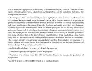 which are not darkly pigmented; colonies may be colourless or brightly coloured. These include the
agents of hyalohyphomycosis, aspergillosis, dermatophytosis and the dimorphic pathogens, like
Histoplasma capsulatum.
3. Coelomycetes: These produce acervuli, which are tightly bound mats of hyphae on which conidia
are produced. Pathogenesis of fungal diseases (Mycoses): Most fungi are saprophytic or parasitic to
plants and are adapted to their natural environment. Infection in humans is a chance event, occurring
only when conditions are favourable. Except for few fungi such as the dimorphic fungi that cause
systemic mycoses and dermatophytes, which are primary pathogens, the rest are only opportunistic
pathogens. Human body is a hostile environment and offers great resistance to fungal invasion. Most
fungi are saprophytic and their enzymatic pathways function more efficiently at the redox potential of
non-living substrates than at the relatively more reduced state of living metabolizing tissue. Some
fungi such as Candida and Malasezzia have adapted to human environment and exist as commensals.
The complex interplay between fungal virulence factors and host defence factors will determine if a
fungal infection will cause a disease. Infection depends on inoculum size and the general immunity of
the host. Fungal Pathogenicity (virulence factors):
• Ability to adhere to host cells by way of cell wall glycoproteins
• Production capsules allowing them to resist phagocytosis
• Production of a cytokine called GM-CSF by Candida albicans that suppress the production of
complement.
• Ability to acquire iron from red blood cells as in Candida albicans
 