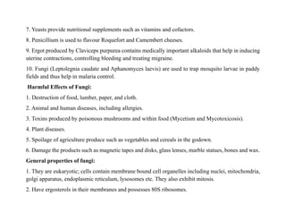 7. Yeasts provide nutritional supplements such as vitamins and cofactors.
8. Penicillium is used to flavour Roquefort and Camembert cheeses.
9. Ergot produced by Claviceps purpurea contains medically important alkaloids that help in inducing
uterine contractions, controlling bleeding and treating migraine.
10. Fungi (Leptolegnia caudate and Aphanomyces laevis) are used to trap mosquito larvae in paddy
fields and thus help in malaria control.
Harmful Effects of Fungi:
1. Destruction of food, lumber, paper, and cloth.
2. Animal and human diseases, including allergies.
3. Toxins produced by poisonous mushrooms and within food (Mycetism and Mycotoxicosis).
4. Plant diseases.
5. Spoilage of agriculture produce such as vegetables and cereals in the godown.
6. Damage the products such as magnetic tapes and disks, glass lenses, marble statues, bones and wax.
General properties of fungi:
1. They are eukaryotic; cells contain membrane bound cell organelles including nuclei, mitochondria,
golgi apparatus, endoplasmic reticulum, lysosomes etc. They also exhibit mitosis.
2. Have ergosterols in their membranes and possesses 80S ribosomes.
 