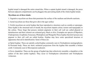 hyphal strand is damaged the entire strand dies. When a septate hyphal strand is damaged, the pores
between adjacent compartments can be plugged, thus preventing death of the whole hyphal strand.
Mycelium are of three kinds:
1. Vegetative mycelium are those that penetrates the surface of the medium and absorbs nutrients.
2. Aerial mycelium are those that grow above the agar surface
3. Fertile mycelium are aerial hyphae that bear reproductive structures such as conidia or sporangia.
Since hypha is the structural unit of mould, the mycelium imparts colour, texture and topography to
the colony. Those fungi that possess melanin pigments in their cell wall are called phaeoid or
dematiaceous and their colonies are coloured grey, black or olive. Examples are species of Bipolaris,
Cladosporium, Exophiala, Fonsecaea, Phialophora and Wangiella Those hyphae that don't possess any
pigment in their cell wall are called hyaline. Hyphae may have some specialised structure or
appearance that aid in identification. Some of these are:
a) Spiral hyphae: These are spirally coiled hyphae commonly seen in Trichophyton mentagrophytes.
b) Pectinate body: These are short, unilateral projections from the hyphae that resemble a broken
comb. Commonly seen in Microsporum audouinii.
c) Favic chandelier: These are the group of hyphal tips that collectively resemble a chandelier or the
antlers of the deer (antler hyphae). They occur in Trichophyton schoenleinii and Trichophyton
violaceum.
 