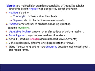 Mycology -introduction and lab diagnosis with QC | PPT