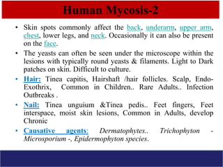 Mycology -introduction and lab diagnosis with QC | PPT
