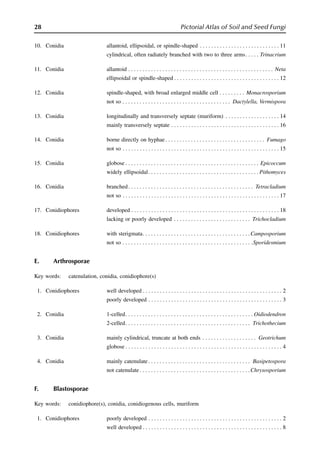 Allanoid Mycology tsuneo watanabe | PDF