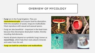 MYCOLOGY microbiology and parasitolory (1).pptx