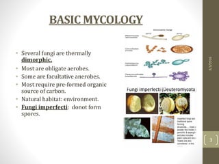Mycological Loop Mycology | PPTX