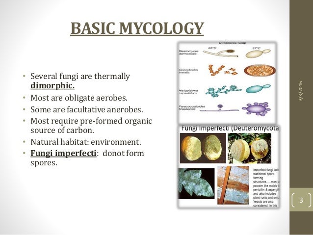 Mycology