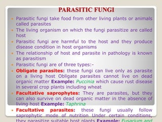 PARASITIC FUNGI
 Parasitic fungi take food from other living plants or animals
called parasites
 The living organism on which the fungi parasitize are called
host
 Parasitic fungi are harmful to the host and they produce
disease condition in host organisms
 The relationship of host and parasite in pathology is known
as parasitism
 Parasitic fungi are of three types:-
 Obligate parasites: these fungi can live only as parasite
on a living host Obligate parasites cannot live on dead
organic matter Example: Puccinia which cause rust disease
in several crop plants including wheat
 Facultative saprophytes: They are parasites, but they
can also survive on dead organic matter in the absence of
living host Example: Taphrina
 Facultative parasites: these fungi usually follow
saprophytic mode of nutrition Under certain conditions,
 
