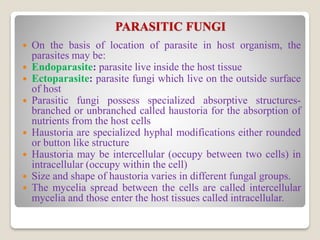 PARASITIC FUNGI
 On the basis of location of parasite in host organism, the
parasites may be:
 Endoparasite: parasite live inside the host tissue
 Ectoparasite: parasite fungi which live on the outside surface
of host
 Parasitic fungi possess specialized absorptive structures-
branched or unbranched called haustoria for the absorption of
nutrients from the host cells
 Haustoria are specialized hyphal modifications either rounded
or button like structure
 Haustoria may be intercellular (occupy between two cells) in
intracellular (occupy within the cell)
 Size and shape of haustoria varies in different fungal groups.
 The mycelia spread between the cells are called intercellular
mycelia and those enter the host tissues called intracellular.
 