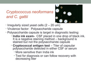 Cryptococcus neoformans
and C. gattii
• Irregularly sized yeast cells (2 – 20 um)
• Virulence factor: Polysaccharide capsule
• Polysaccharide capsule is target in diagnostic testing:
• India ink exam- CSF placed in one drop of black ink.
It is a negative staining method – background is
stained but not the polysaccharide capsule
• Cryptococcal antigen test – Titer of capsular
polysaccharide detected in either CSF or serum
• More sensitive than India ink
• Test for diagnosis or can follow recovery with
decreasing titer
 