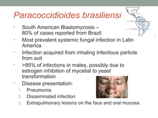 Paracoccidioides brasiliensis
• South American Blastomycosis – Brazil
80% of cases reported from Brazil
• Most prevalent s...