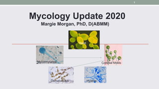 Mycology Update 2020
Margie Morgan, PhD, D(ABMM)
Mycormycetes Conidial Molds
Dematiacious Hyaline
Yeast
1
 