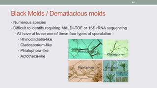 Mycology 2020 | PPT