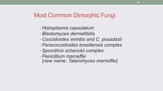 Most Common Dimorphic Fungi
• Histoplasma capsulatum
• Blastomyces dermatitidis
• Coccidioides immitis and C. posadasii
• ...