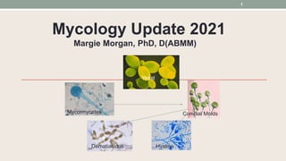 Mycology Update 2021
Margie Morgan, PhD, D(ABMM)
Mycormycetes Conidial Molds
Dematiacious Hyaline
Yeast
1
 
