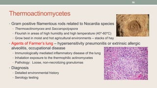 Thermoactinomycetes
• Gram positive filamentous rods related to Nocardia species
• Thermoactinomyces and Saccaropolyspora
• Flourish in areas of high humidity and high temperature (40*-60*C)
• Grow best in moist and hot agricultural environments – stacks of hay
• Agents of Farmer’s lung – hypersensitivity pneumonitis or extrinsic allergic
alveolitis, occupational disease
• Immunologically mediated inflammatory disease of the lung
• Inhalation exposure to the thermophilic actinomycetes
• Pathology: Loose, non-necrotizing granulomas
• Diagnosis
• Detailed environmental history
• Serology testing
58
 