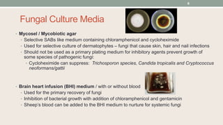 Fungal Culture Media
• Mycosel / Mycobiotic agar
• Selective SABs like medium containing chloramphenicol and cycloheximide...