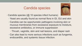 Candida species
• Candida species (@ 10 species infect humans)
• Yeast are usually found as normal flora in GI, GU and ski...
