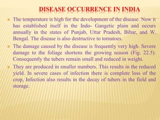 DISEASE OCCURRENCE IN INDIA
 The temperature is high for the development of the disease. Now it
has established itself in the Indo- Gangetic plain and occurs
annually in the states of Punjab, Uttar Pradesh, Bihar, and W.
Bengal. The disease is also destructive to tomatoes.
 The damage caused by the disease is frequently very high. Severe
damage to the foliage shortens the growing season (Fig. 22.5).
Consequently the tubers remain small and reduced in weight.
 They are produced in smaller numbers. This results in the reduced
yield. In severe cases of infection there is complete loss of the
crop, Infection also results in the decay of tubers in the field and
storage.
 
