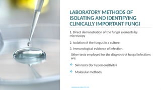 Identify Isolate mycology basic concepts for Medical lab technology.pptx