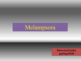 Melampsora
Basavaraj kodsa
pg16agr8100
 