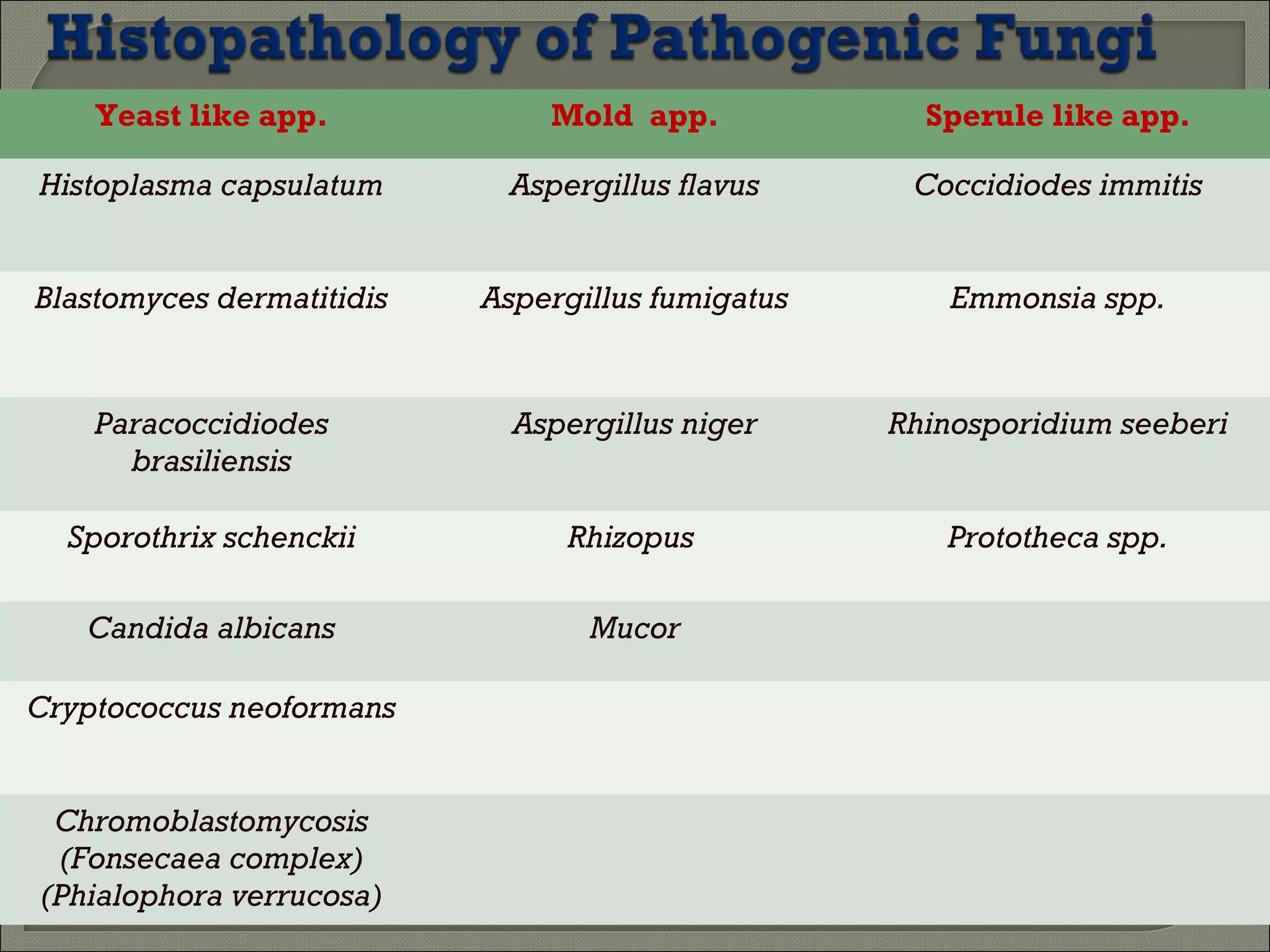 Histopathological Diagnosis of Fungal Infections of 21st century | PPT