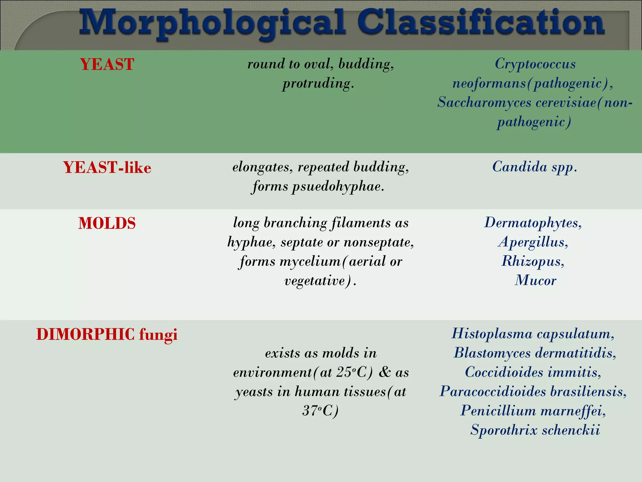 Histopathological Diagnosis of Fungal Infections of 21st century | PPT