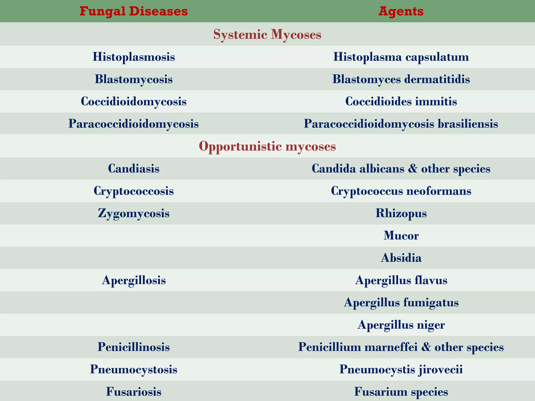 Histopathological Diagnosis of Fungal Infections of 21st century | PPT