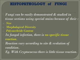 Histopathological Diagnosis of Fungal Infections of 21st century | PPT