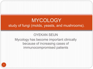 OYEKAN SEUN
Mycology has become important clinically
because of increasing cases of
immunocompromised patients
1
MYCOLOGY
study of fungi (molds, yeasts, and mushrooms).
 