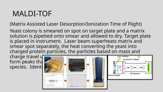 Maldi Instrument Animation Comprehensive Mycology Update 2026: Yeast and Mold Identification ...