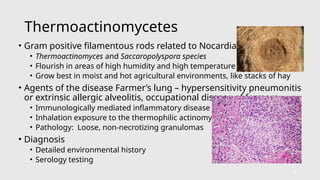Comprehensive 2026 Mycology Update: Fungal Infections and Diagnostics ...