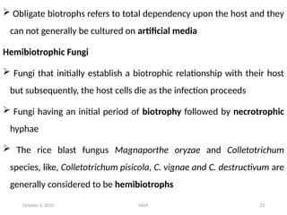 Mycology Power Point for learners 2.pptx