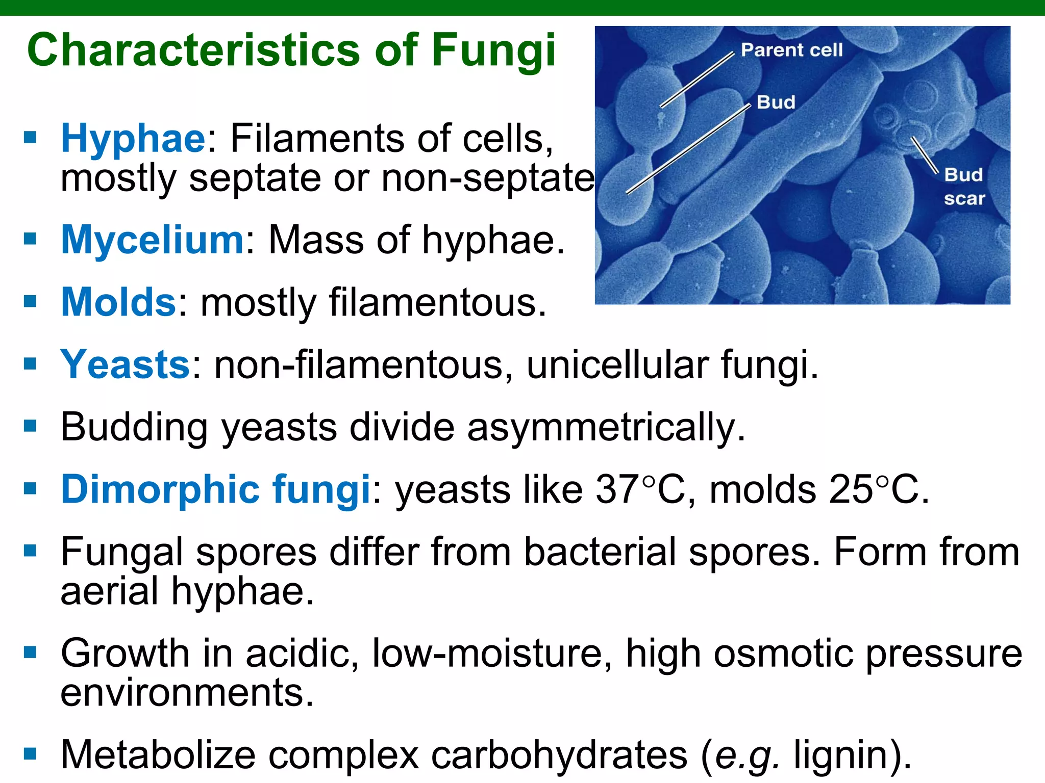 Mycology ,diseases caused by fungi | PPT