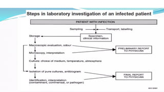 mycology laboratory Quality control testing | PPTX
