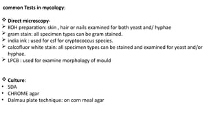 mycology laboratory Quality control testing | PPTX