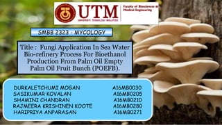 Title : Fungi Application In Sea Water
Bio-refinery Process For Bioethanol
Production From Palm Oil Empty
Palm Oil Fruit Bunch (POEFB).
DURKALETCHUMI MOGAN A16MB0030
SASIKUMAR KOVALAN A16MB0205
SHAMINI CHANDRAN A16MB0210
RAJMEERA KRISHINEN KOOTE A16MB0280
HARIPRIYA ANPARASAN A16MB0271
DURKALETCHUMI MOGAN A16MB0030
SASIKUMAR KOVALAN A16MB0205
SHAMINI CHANDRAN A16MB0210
RAJMEERA KRISHINEN KOOTE A16MB0280
HARIPRIYA ANPARASAN A16MB0271
SMBB 2323 - MYCOLOGY
 