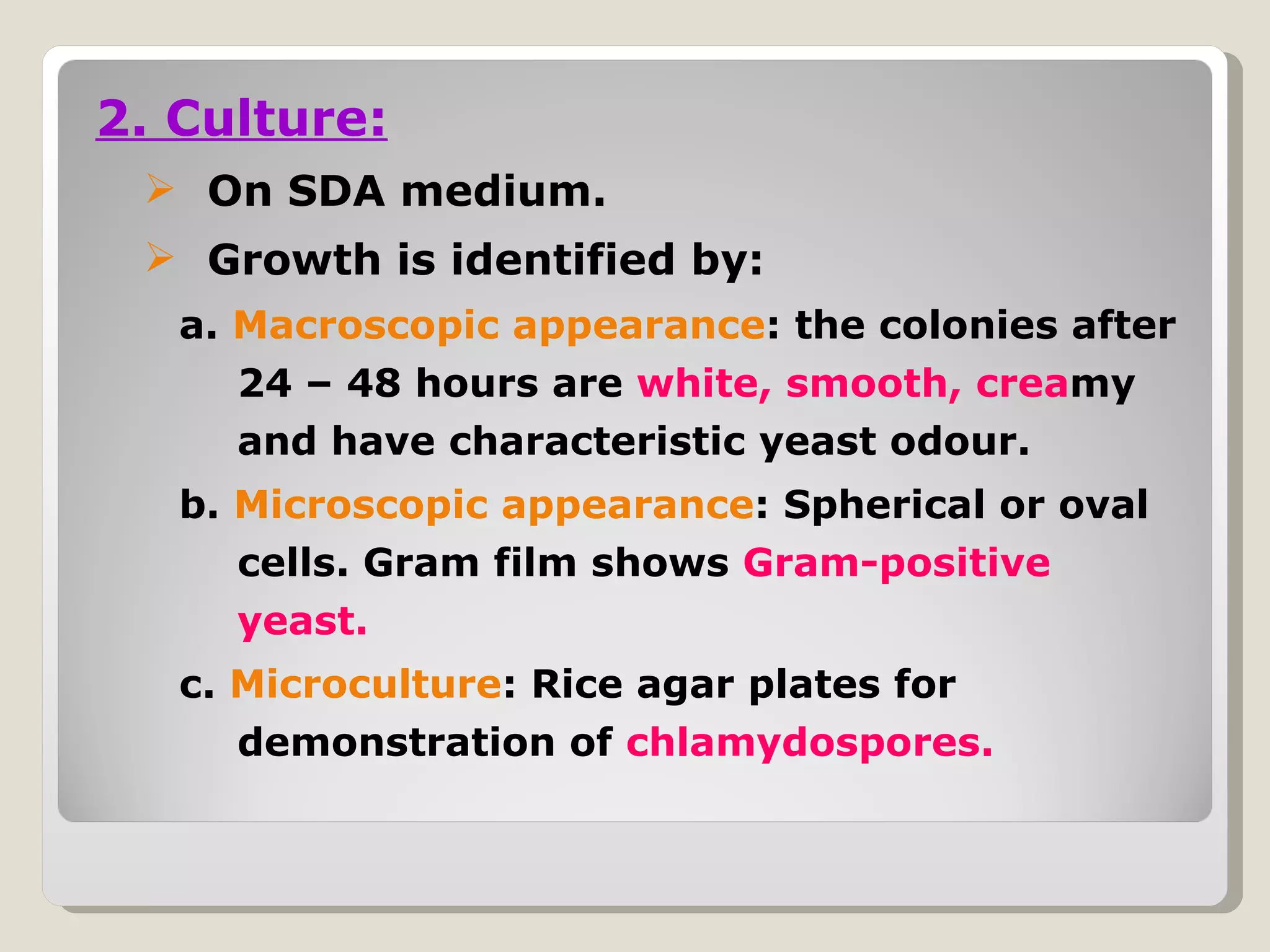2. Culture:
  On SDA medium.
  Growth is identified by:
   a. Macroscopic appearance: the colonies after
      24 – 48 hours are white, smooth, creamy
      and have characteristic yeast odour.
   b. Microscopic appearance: Spherical or oval
      cells. Gram film shows Gram-positive
      yeast.
   c. Microculture: Rice agar plates for
      demonstration of chlamydospores.
 