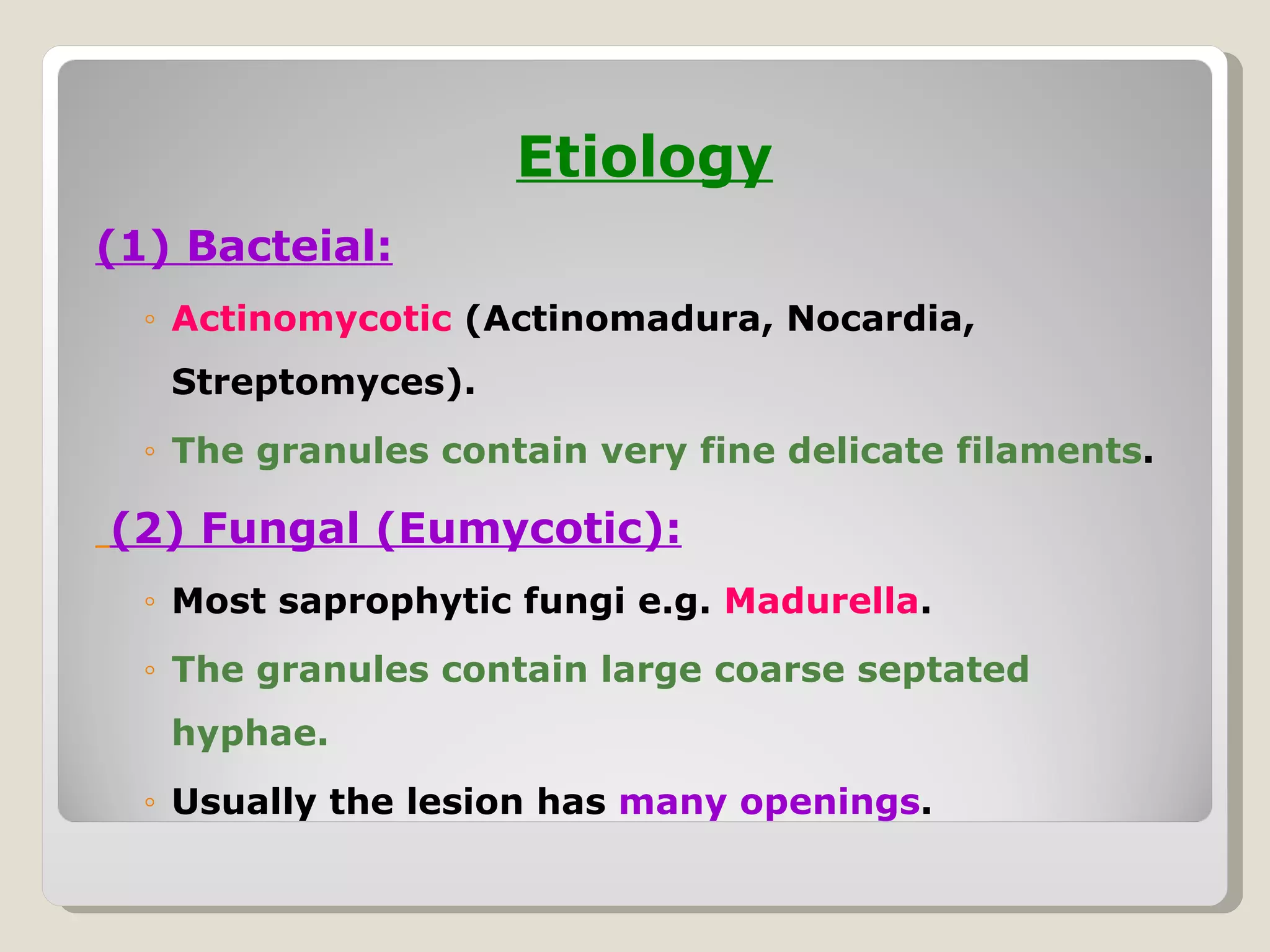 Etiology
(1) Bacteial:
  ◦ Actinomycotic (Actinomadura, Nocardia,
   Streptomyces).
  ◦ The granules contain very fine delicate filaments.

(2) Fungal (Eumycotic):
  ◦ Most saprophytic fungi e.g. Madurella.
  ◦ The granules contain large coarse septated
   hyphae.
  ◦ Usually the lesion has many openings.
 