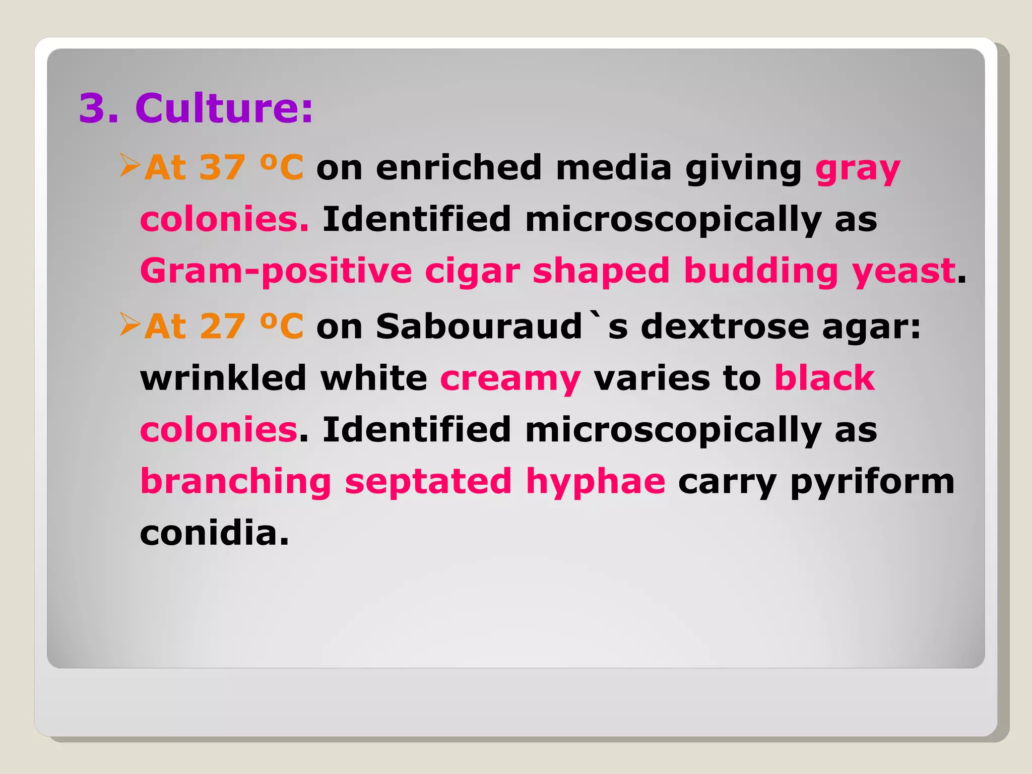 3. Culture:
 At 37 ºC on enriched media giving gray
  colonies. Identified microscopically as
  Gram-positive cigar shaped budding yeast.
 At 27 ºC on Sabouraud`s dextrose agar:
  wrinkled white creamy varies to black
  colonies. Identified microscopically as
  branching septated hyphae carry pyriform
  conidia.
 