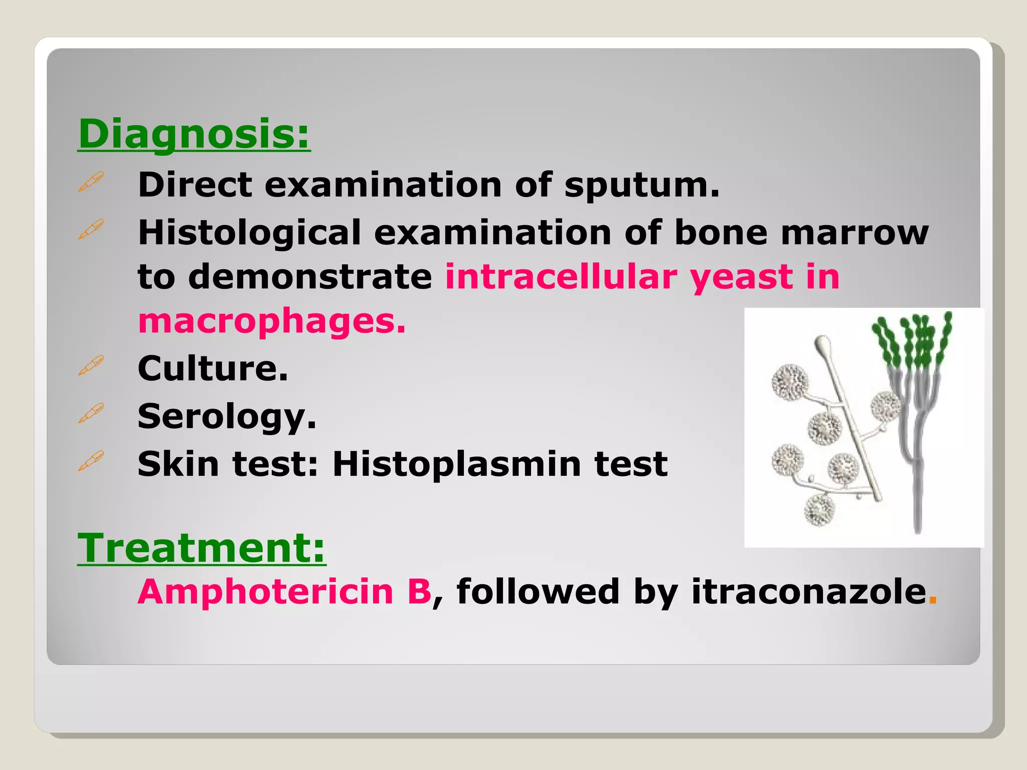 Diagnosis:
   Direct examination of sputum.
   Histological examination of bone marrow
    to demonstrate intracellular yeast in
    macrophages.
   Culture.
   Serology.
   Skin test: Histoplasmin test

Treatment:
    Amphotericin B, followed by itraconazole.
 