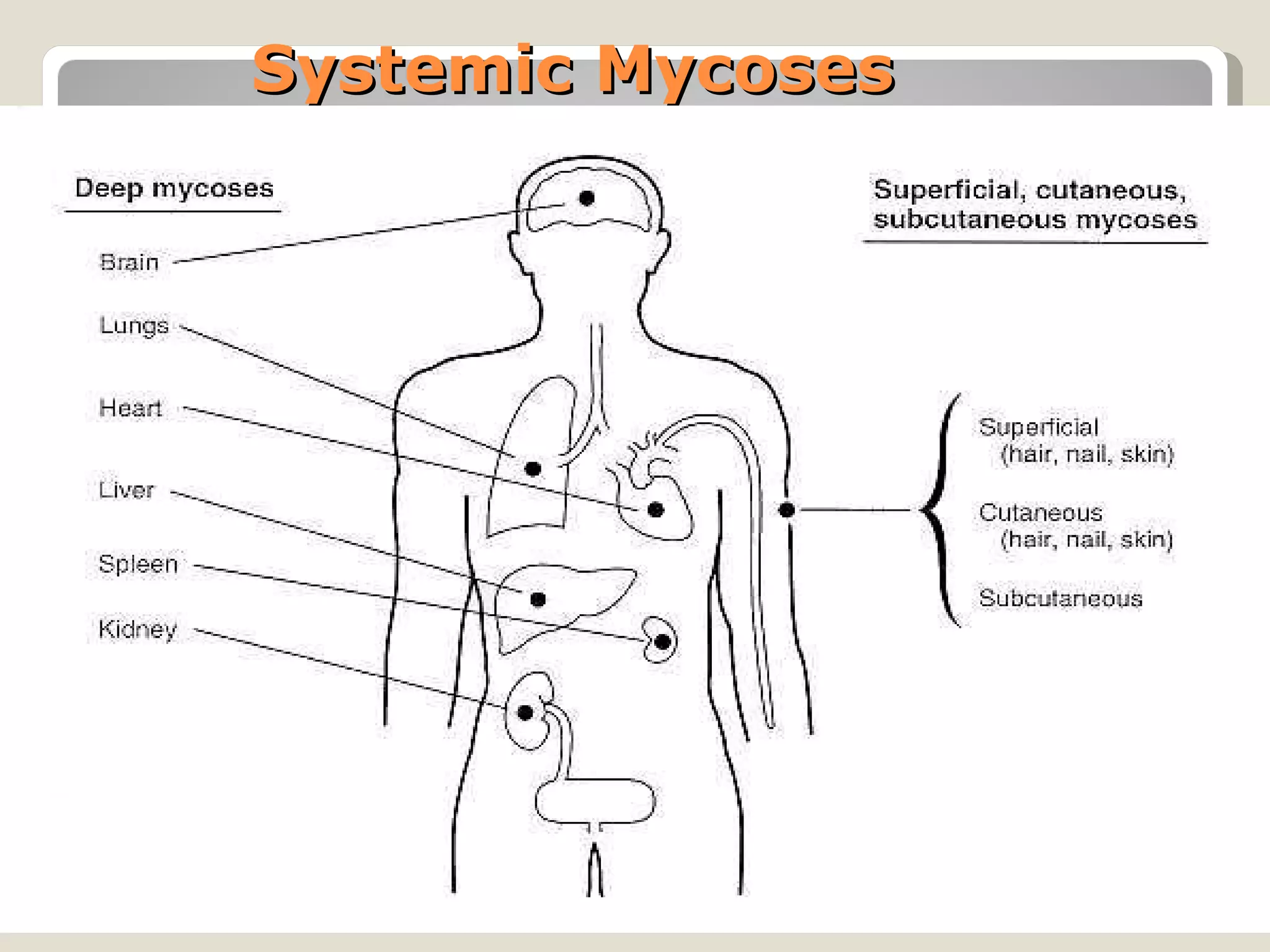 Systemic Mycoses
 