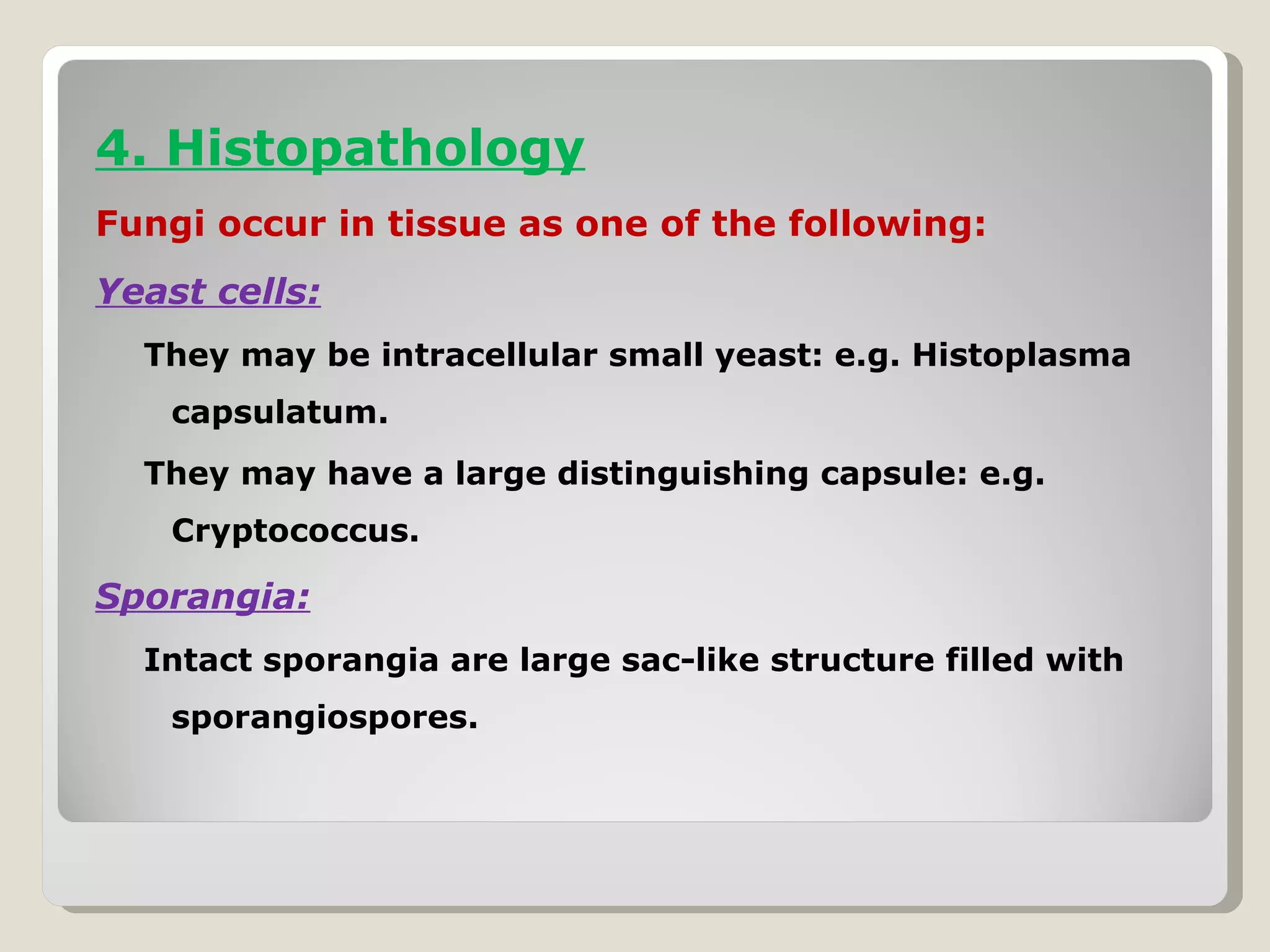 4. Histopathology
Fungi occur in tissue as one of the following:
Yeast cells:
  They may be intracellular small yeast: e.g. Histoplasma
    capsulatum.
  They may have a large distinguishing capsule: e.g.
    Cryptococcus.

Sporangia:
  Intact sporangia are large sac-like structure filled with
    sporangiospores.
 
