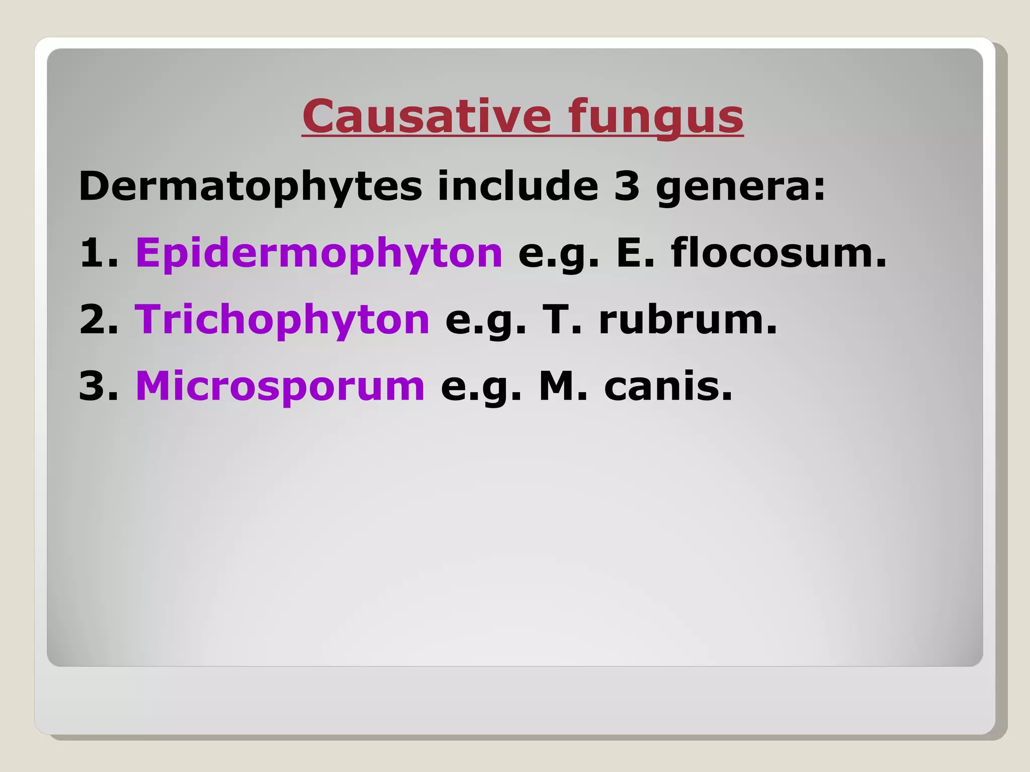 Causative fungus
Dermatophytes include 3 genera:
1. Epidermophyton e.g. E. flocosum.
2. Trichophyton e.g. T. rubrum.
3. Microsporum e.g. M. canis.
 