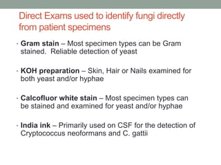 Direct Exams used to identify fungi directly
from patient specimens
• Gram stain – Most specimen types can be Gram
stained. Reliable detection of yeast
• KOH preparation – Skin, Hair or Nails examined for
both yeast and/or hyphae
• Calcofluor white stain – Most specimen types can
be stained and examined for yeast and/or hyphae
• India ink – Primarily used on CSF for the detection of
Cryptococcus neoformans and C. gattii
 