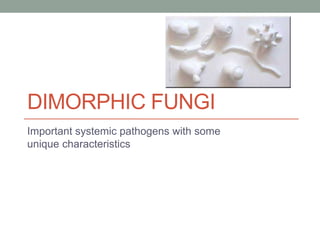 DIMORPHIC FUNGI
Important systemic pathogens with some
unique characteristics
 
