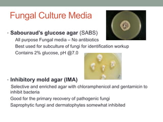 Fungal Culture Media
• Sabouraud’s glucose agar (SABS)
All purpose Fungal media – No antibiotics
Best used for subculture of fungi for identification workup
Contains 2% glucose, pH @7.0
• Inhibitory mold agar (IMA)
Selective and enriched agar with chloramphenicol and gentamicin to
inhibit bacteria
Good for the primary recovery of pathogenic fungi
Saprophytic fungi and dermatophytes somewhat inhibited
 