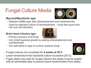 Fungal Culture Media
• Mycosel/Mycobiotic agar
• Selective SABS agar with chloramphenicol and cycloheximide
• Used for selective culture of dermatophytes – fungi that cause skin,
hair and nail infections
• Brain heart infusion agar
• Primary recovery of all fungi
• Can inhibit bacterial growth by adding chloramphenicol and
cycloheximide
• Can add blood to agar to nurture systemic fungi
• Fungal cultures are incubated for 4 weeks at 30˚C
• Lower temperature than bacterial culture incubation [35˚C]
• If agar plates are used for fungal cultures the plates must be sealed
with air permeable tape to prevent spore dissemination from plates
 