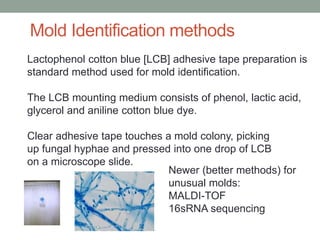 Lactophenol cotton blue [LCB] adhesive tape preparation is
standard method used for mold identification.
The LCB mounting medium consists of phenol, lactic acid,
glycerol and aniline cotton blue dye.
Clear adhesive tape touches a mold colony, picking
up fungal hyphae and pressed into one drop of LCB
on a microscope slide.
Newer (better methods) for
unusual molds:
MALDI-TOF
16sRNA sequencing
Mold Identification methods
 